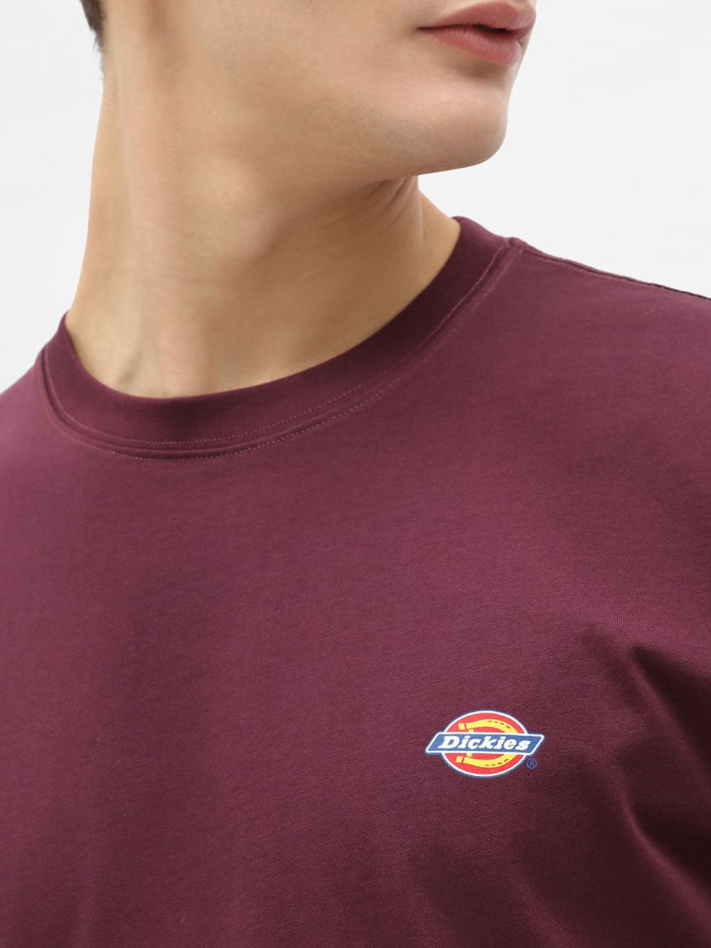 Dickies T-shirt Mapleton da Uomo - Bordeaux