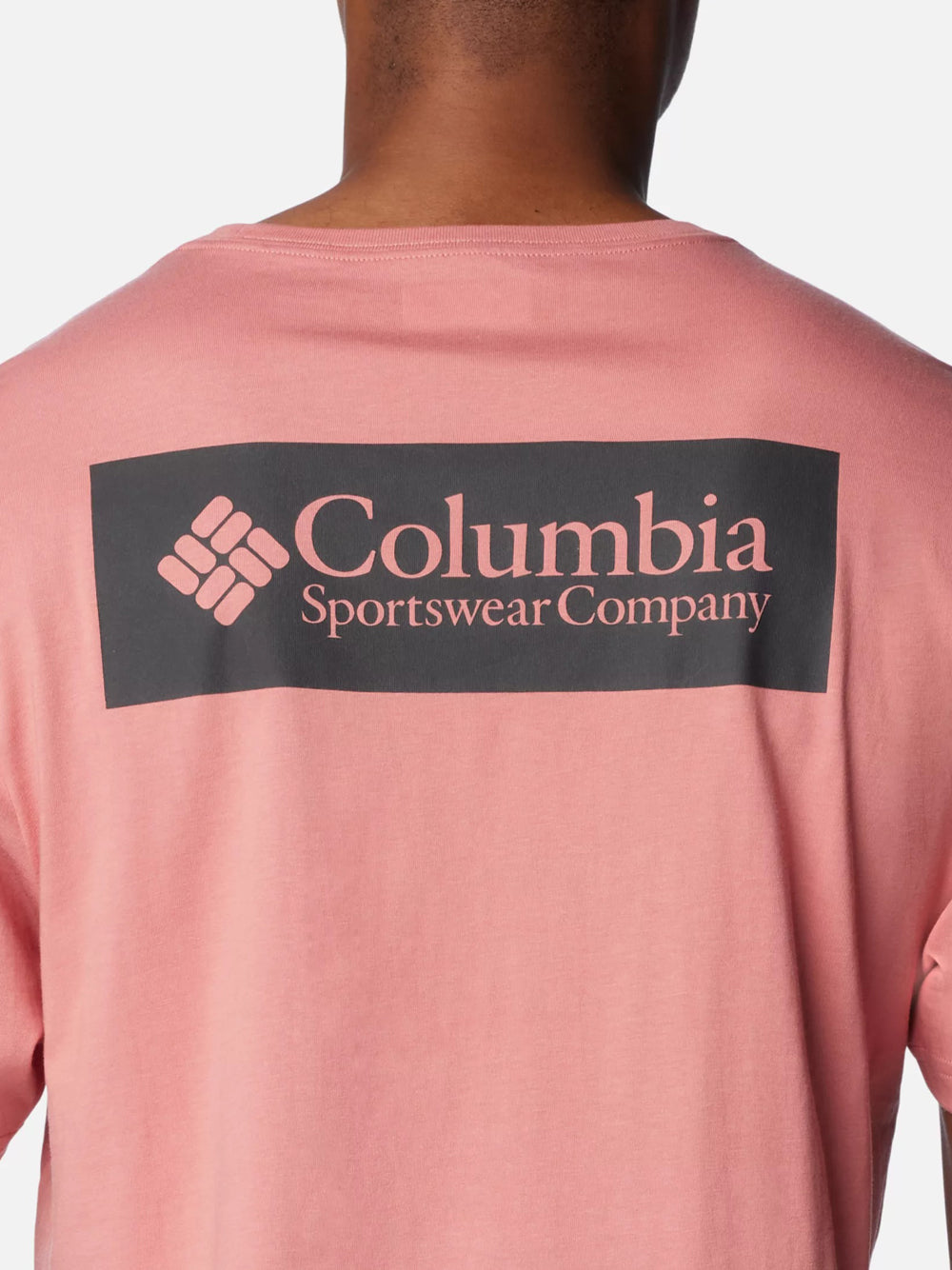 T-shirt Columbia North Cascades da Uomo - Rosa