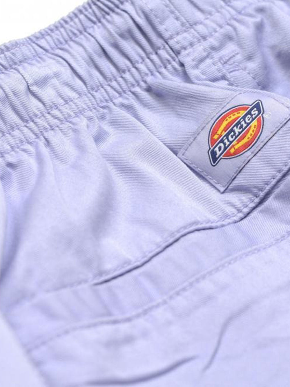 Bermuda Dickies Pelican Rapids da Uomo - Viola