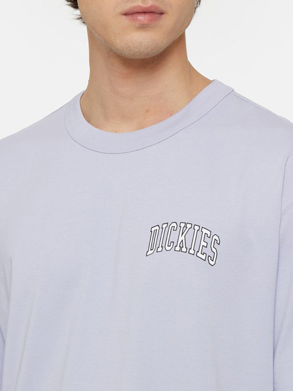 T-shirt Dickies Aitkin Unisex - Viola