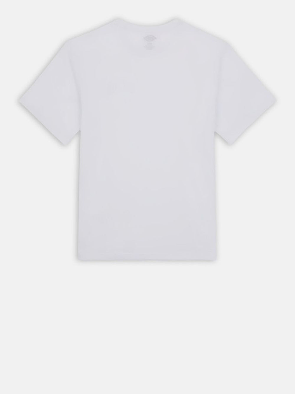 T-shirt Dickies Aitkin Unisex - Bianco