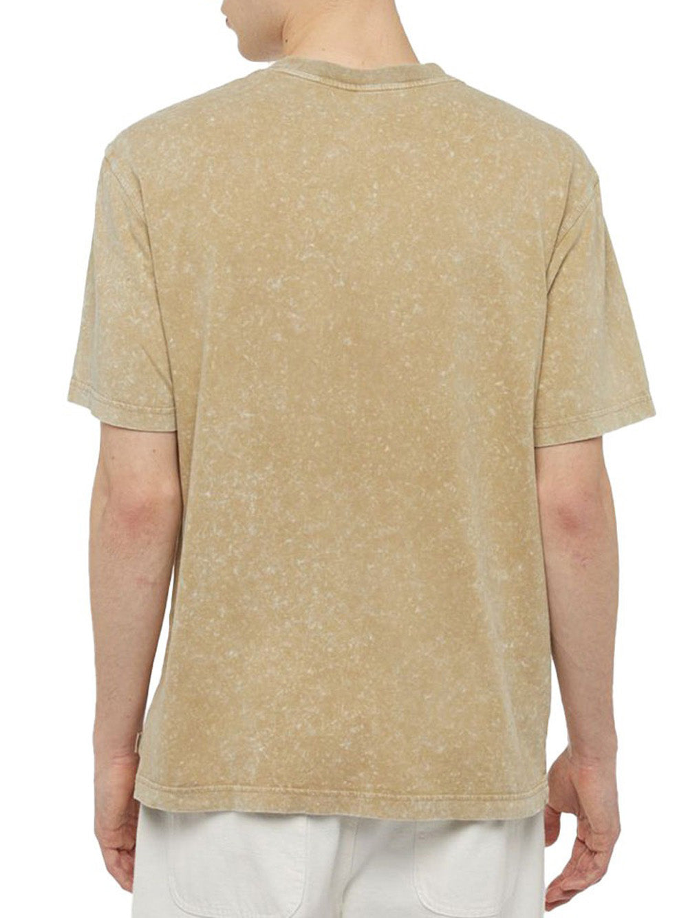 T-shirt Dickies Newington da Uomo - Beige