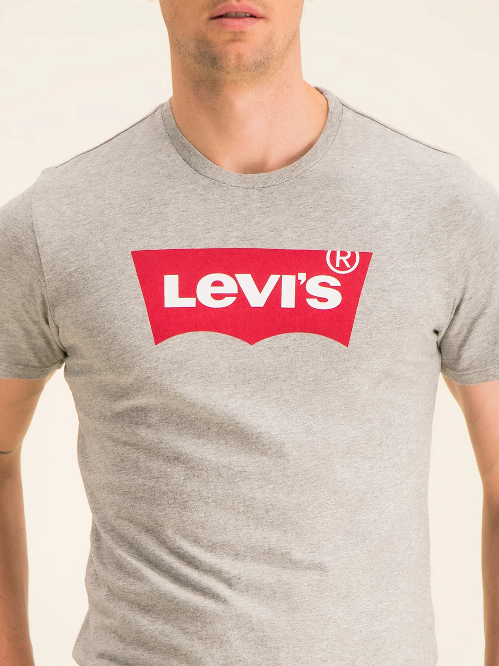 T-shirt Levis Graphic Set-In da Uomo - Grigio