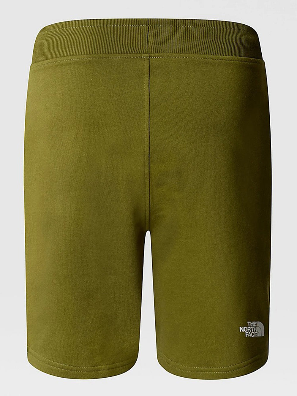 Bermuda Casual The North Face Standard da Uomo - Verde