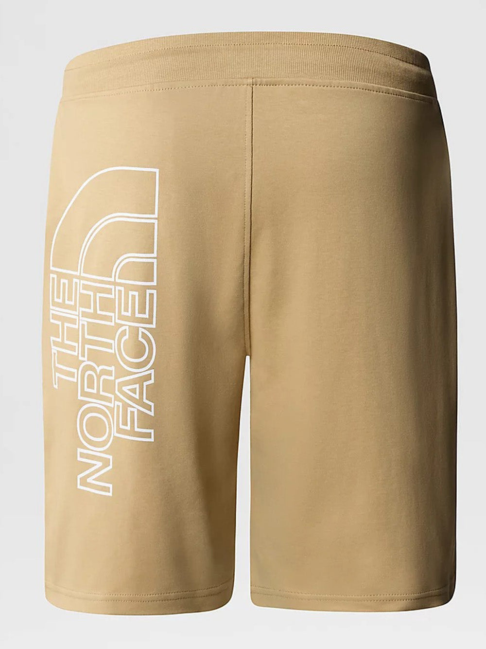 Bermuda Casual The North Face Graphic da Uomo - Beige