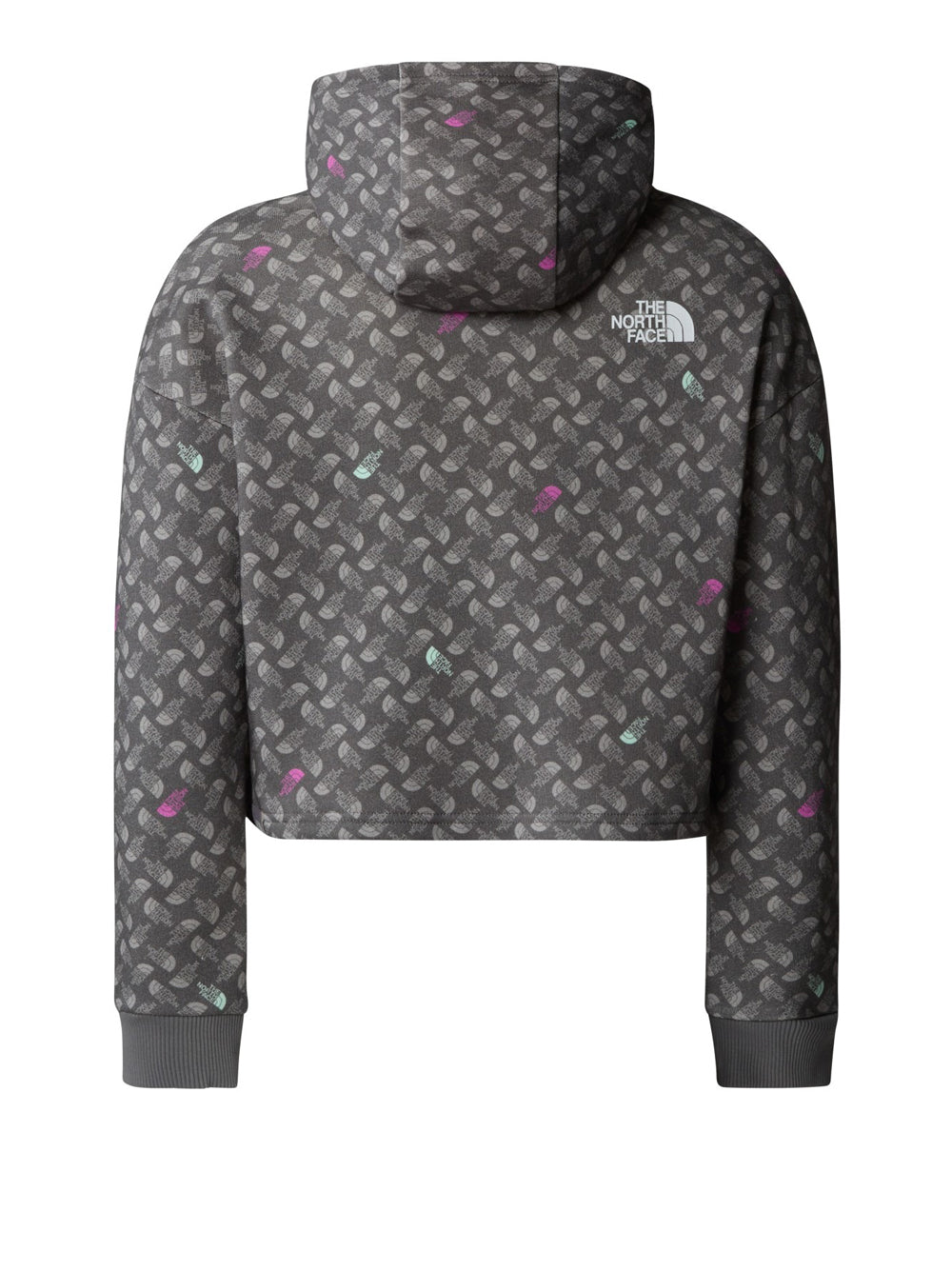 Felpa Cappuccio The North Face Drew Peak da Bambina - Grigio