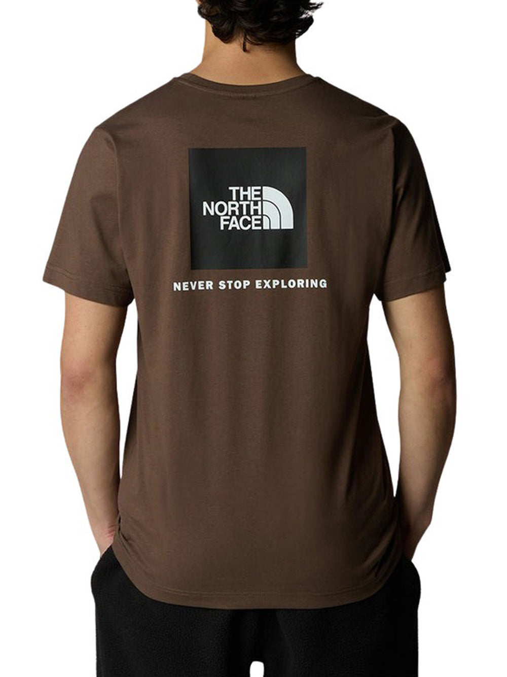 T-shirt The North Face Box Nse da Uomo - Marrone