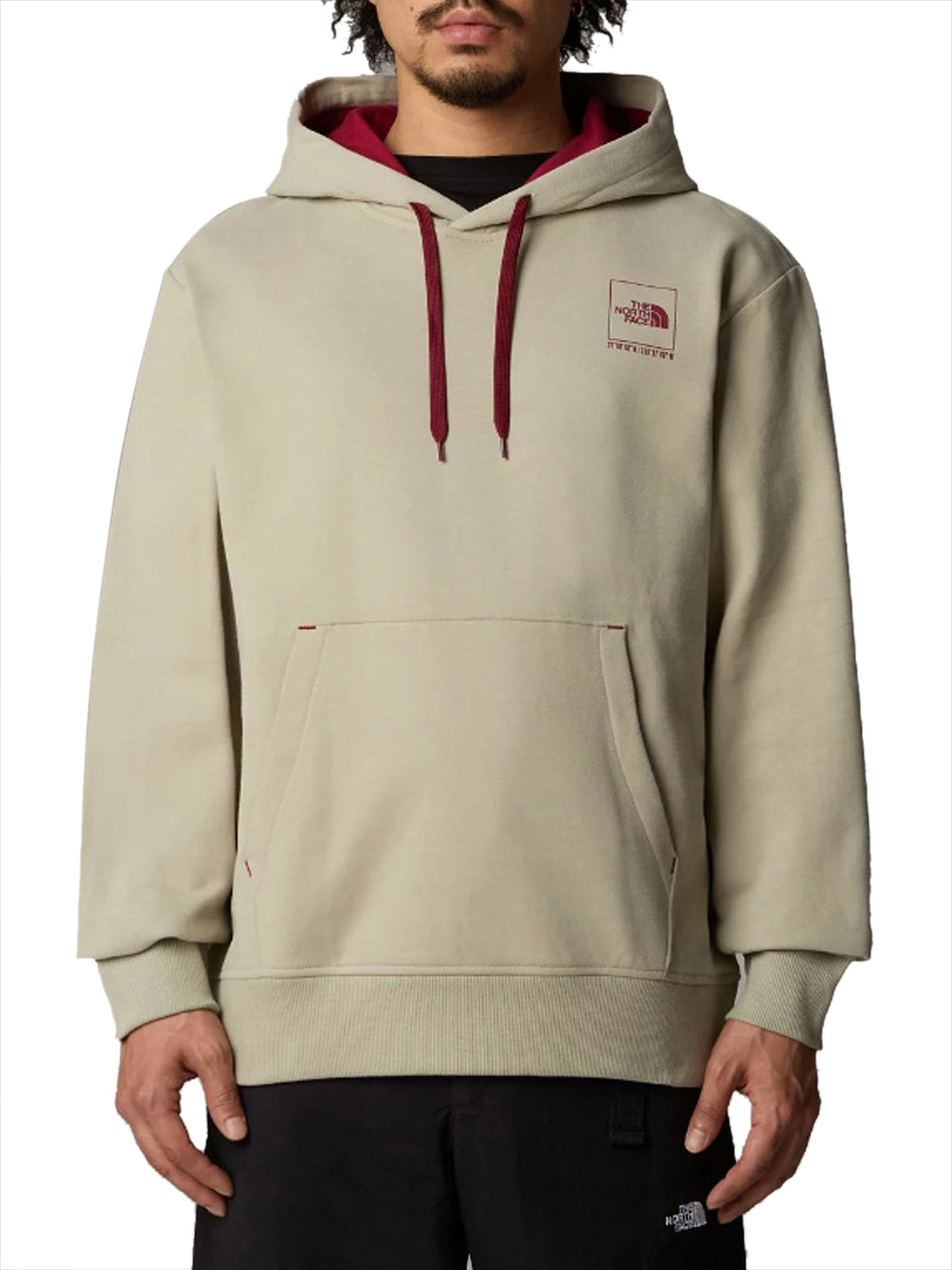 Felpa Cappuccio The North Face Coordinates da Uomo - Grigio