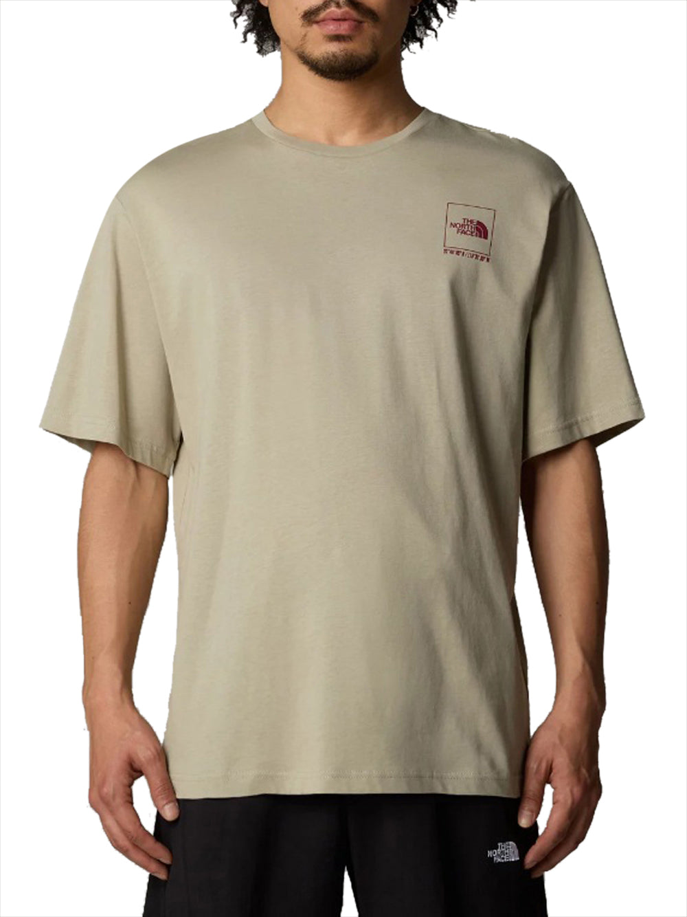 T-shirt The North Face Coordinates da Uomo - Grigio