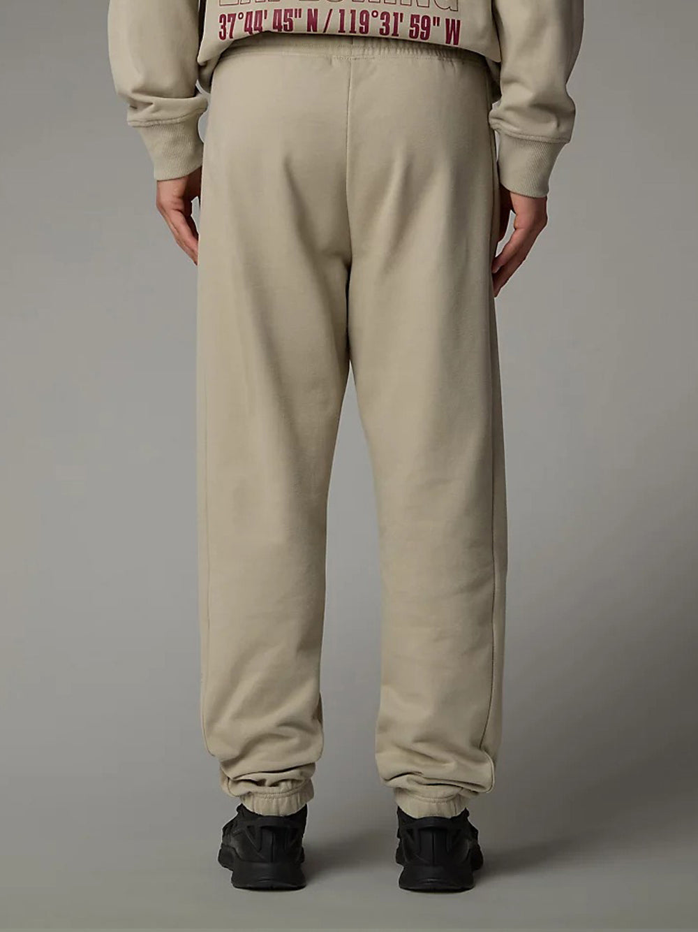 Pantalone Tuta The North Face Coordinates da Uomo - Grigio