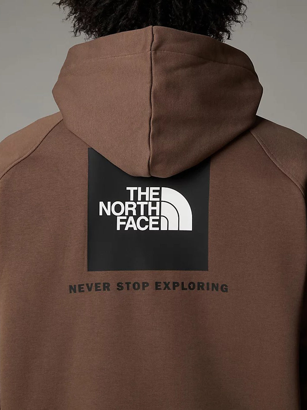 Felpa Cappuccio The North Face Raglan Box Nse da Uomo - Marrone