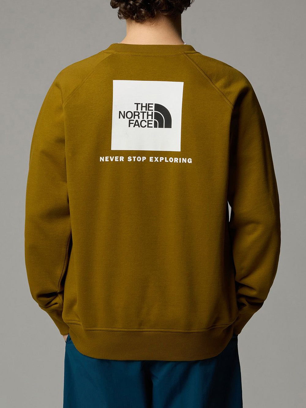 Felpa The North Face Raglan Box Nse Crew da Uomo - Verde