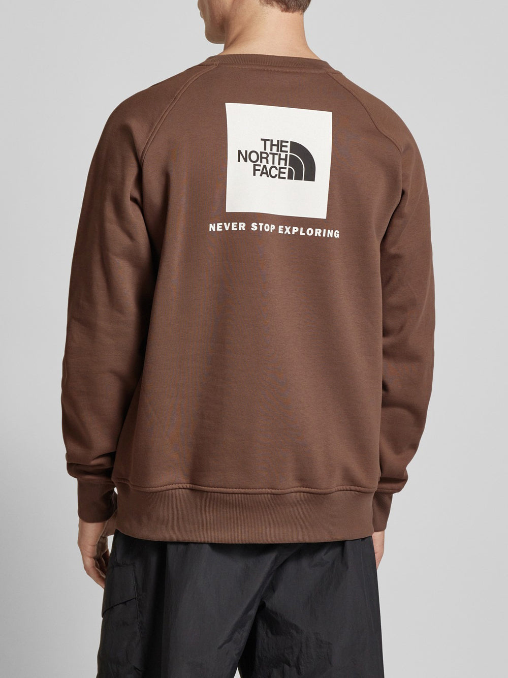 Felpa The North Face Raglan Box Nse Crew da Uomo - Marrone