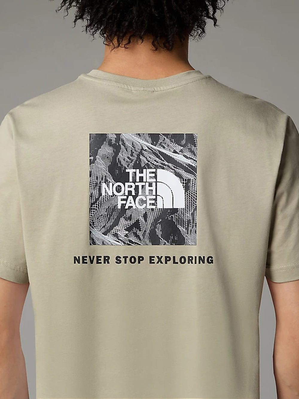 T-shirt The North Face Redbox Tee Graphic da Uomo - Grigio