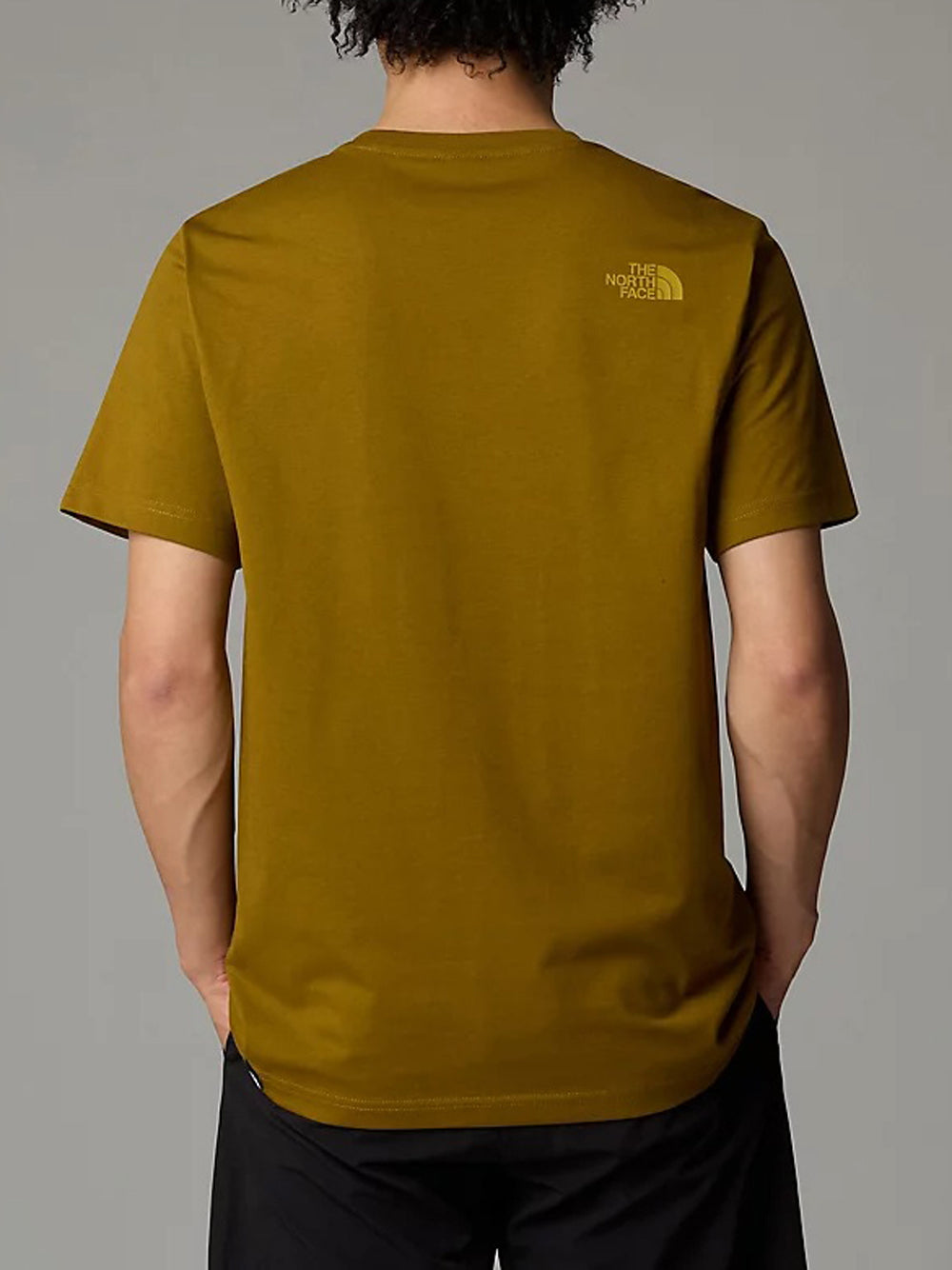 T-shirt The North Face Easy Tee da Uomo - Verde