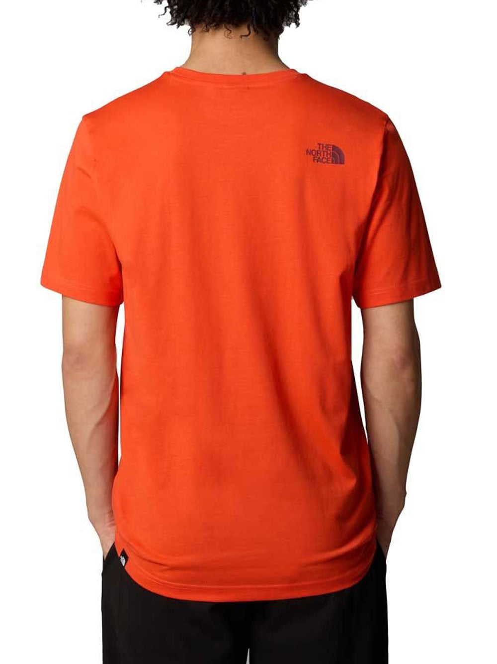 T-shirt The North Face Easy Tee da Uomo - Arancione