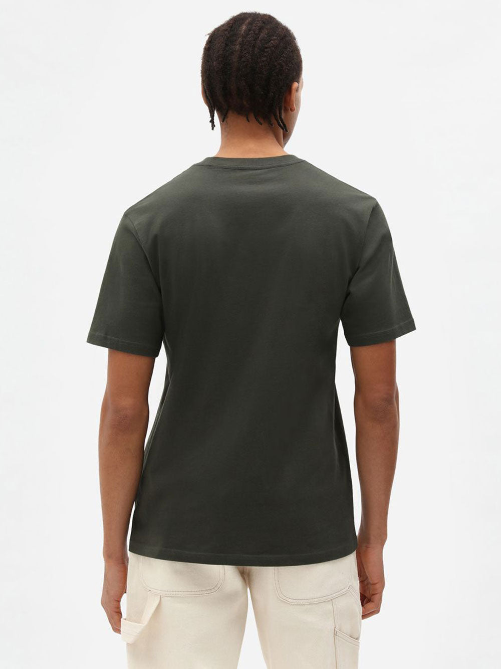 Dickies T-shirt Mapleton da Uomo - Verde